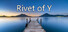 Rivet of Y