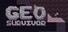 Geo Survivor