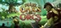 Oaks vs Orcs