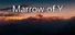 Marrow of Y