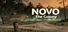 Novo: The Colony