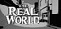 THE REAL WORLD