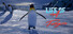 Life of a Penguin