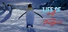 Life of a Penguin