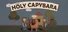 HOLY CAPYBARA