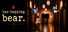 bar-hopping-bear.