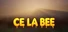 Ce La Bee