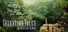 Celestian Tales: Realms Beyond