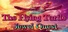 The Flying Turtle Jewel Quest