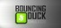 Bouncing Duck Simulator