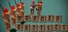 Wooden Battles