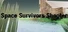 Space Survivors I: The Reckoning