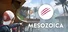 Mesozoica