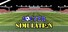 Soccer Simulation