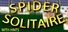 Casual Spider Solitaire