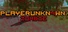 PLAYERUNKN4WN: Zombie