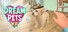 Dream Pets VR