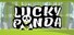 Lucky Panda