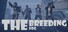 The Breeding: The Fog