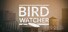Bird Watcher
