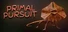 Primal Pursuit