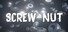 SCREW-NUT