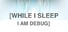 While I Sleep I am Debug
