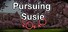 Pursuing Susie