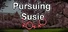 Pursuing Susie