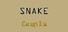 Snake couple