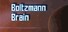 Boltzmann Brain