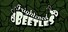 Frightened Beetles