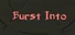 Burst Into