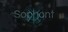 Sophont