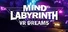 Mind Labyrinth VR Dreams