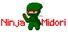 Ninja Midori
