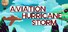 Aviation Hurricane Storm