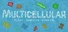 Multicellular