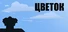 Цветок