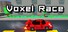 Voxel Race
