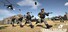 Combat Rush