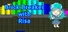 Brick Breaker with Risa