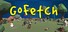 GoFetch