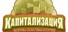 Капитализация: Войны собственности