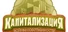 Капитализация: Войны собственности