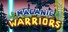 Maganic Warriors