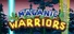Maganic Warriors