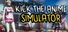 Kick The Anime Simulator