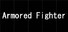 Armored Fighter