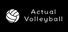 Actual Volleyball